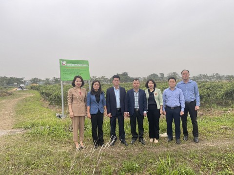 Sóc Sơn: Mô hình nông nghiệp hữu cơ hồi sinh những “vùng đất khó”