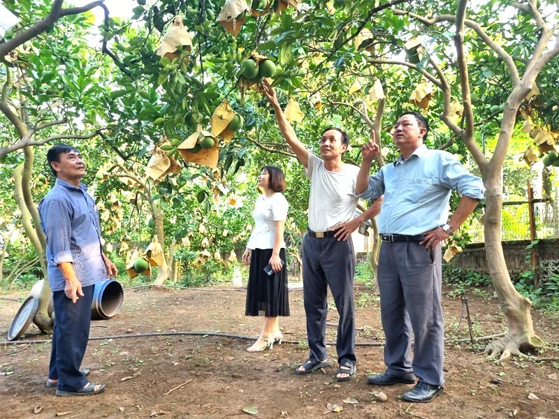 Phúc Thọ (hà nội): Tập trung mọi nguồn lực xây dựng nông thôn mới
