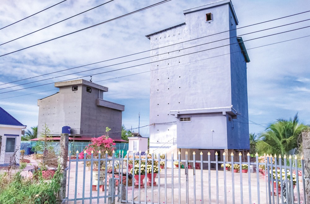 Nghề nuôi chim yến có nhiều triển vọng ở Vĩnh Long Nghề nuôi chim yến có nhiều triển vọng ở Vĩnh Long