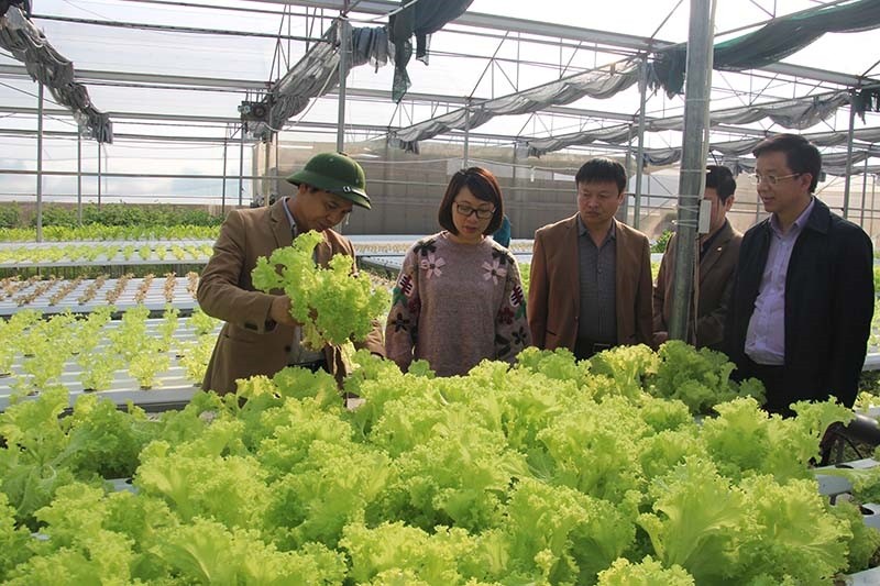Quảng Ninh: Phát triển nhiều mô hình kinh tế ở xã nông thôn mới kiểu mẫu