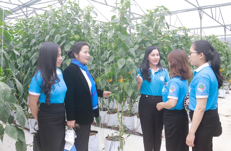 Mô hình sinh kế của hội viên phụ nữ huyện Đơn Dương, Tỉnh Lâm Đồng