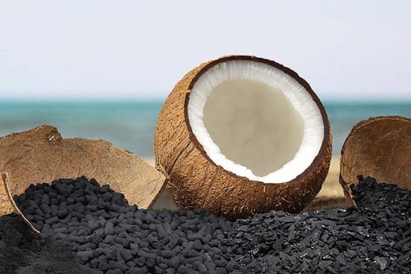 Than sạch không khói từ gáo dừa