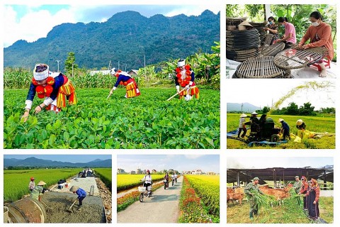 Gỡ vướng triển khai các chương trình mục tiêu quốc gia
