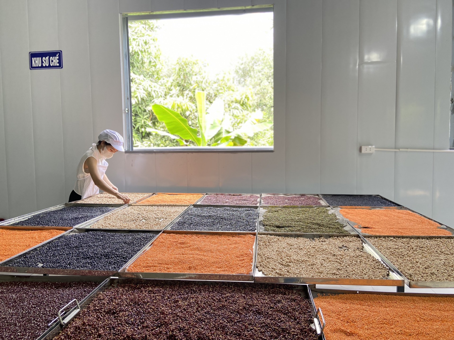 Hiệu quả từ mô hình nông nghiệp địa phương