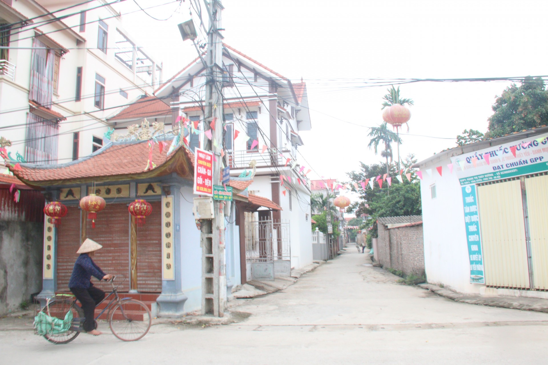 Diện mạo Diện mạo