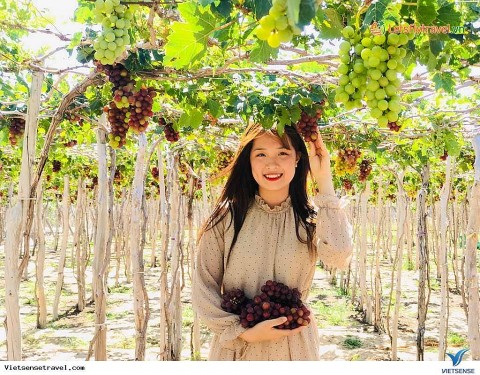 Du lịch sinh thái từ những vườn cây ăn quả - Hướng đi triển vọng cho nông nghiệp Hà Nội