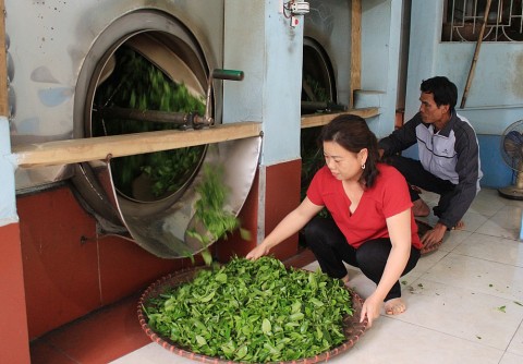 thai nguyen phat trien lang nghe gan voi bao ve moi truong