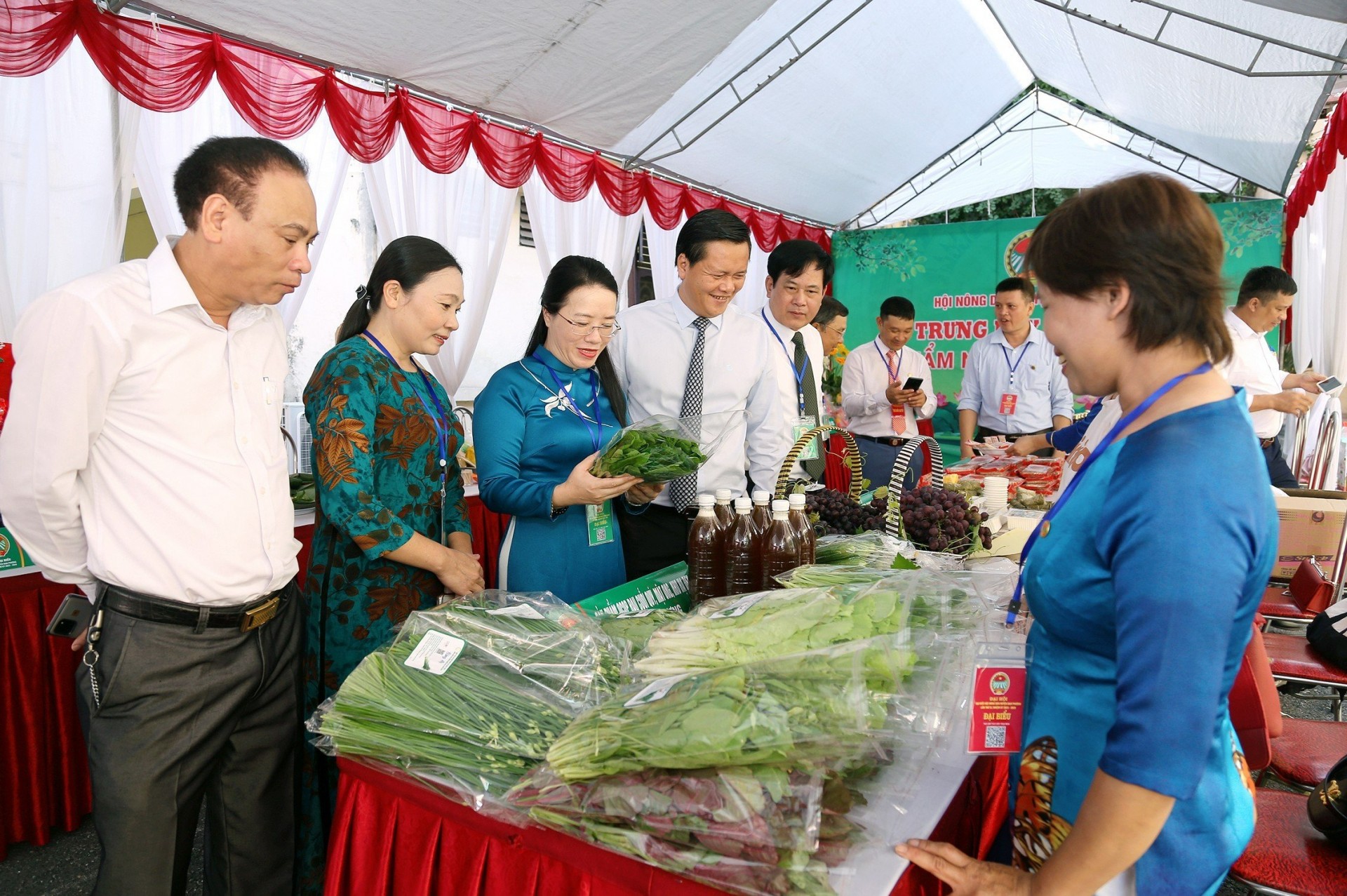 Đan Phượng: Phát triển kinh tế tập thể có chiều sâu hiệu quả bền vững Đan Phượng: Phát triển kinh tế tập thể có chiều sâu hiệu quả bền vững