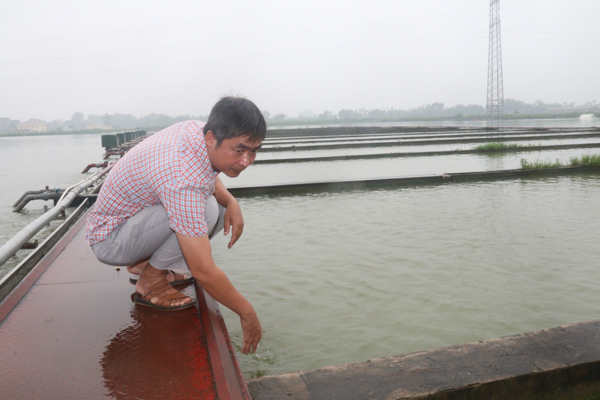 Hướng dẫn kỹ thuật nuôi cá theo hình thức sông trong ao  Báo Nam Định  điện tử