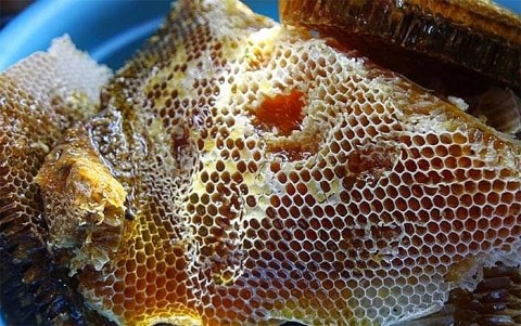 Hòa Bình: Xây dựng sản phẩm mật ong rừng Hưng Thi trở thành sản phẩm OCOP