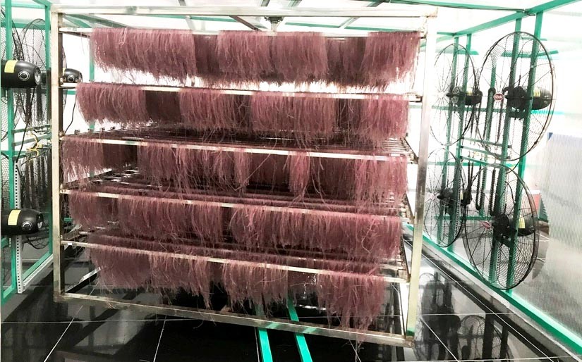 Máy sấy bún, hủ tiếu, bánh tráng tại Cơ sở sản xuất thực phẩm Huỳnh Đức sử dụng năng lượng mặt trời nên không gây ô nhiễm môi trường, đồng thời tiết kiệm được nguồn điện sử dụng, bảo vệ môi trường... Máy sấy bún, hủ tiếu, bánh tráng tại Cơ sở sản xuất thực phẩm Huỳnh Đức sử dụng năng lượng mặt trời nên không gây ô nhiễm môi trường, đồng thời tiết kiệm được nguồn điện sử dụng, bảo vệ môi trường...