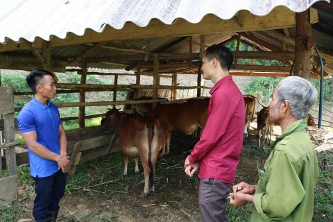 Quyết tâm thoát nghèo của chàng trai Khơ Mú