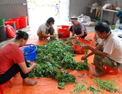 Công nghệ số chìa khóa mở cánh cửa nông nghiệp hiện đại Công nghệ số chìa khóa mở cánh cửa nông nghiệp hiện đại