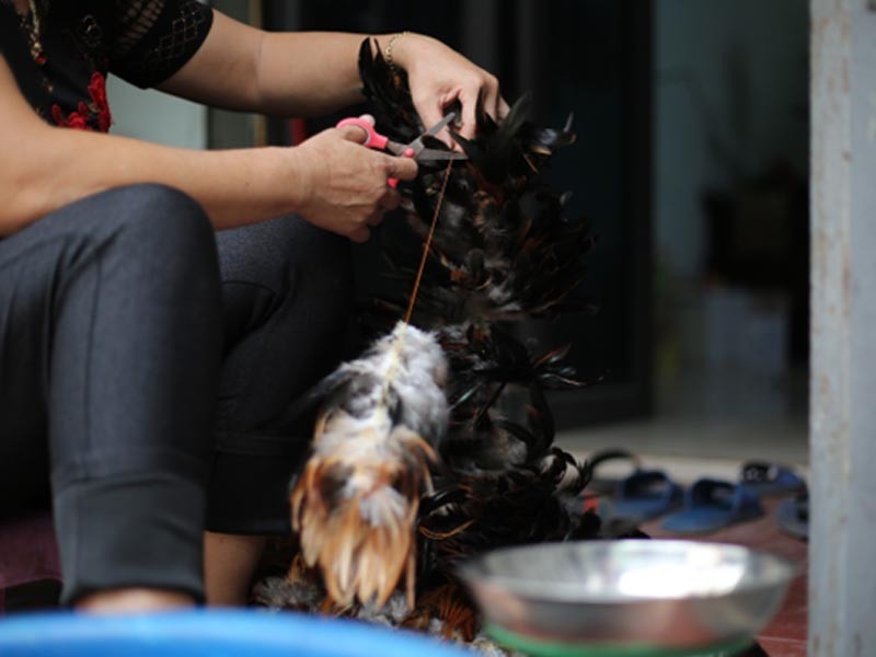 Với nhiều người, làm chổi lông gà thủ công vừa là một cách tiếp nối nghề của cha ông, vừa để lưu giữ vẻ đẹp văn hoá Việt truyền thống. Với nhiều người, làm chổi lông gà thủ công vừa là một cách tiếp nối nghề của cha ông, vừa để lưu giữ vẻ đẹp văn hoá Việt truyền thống.