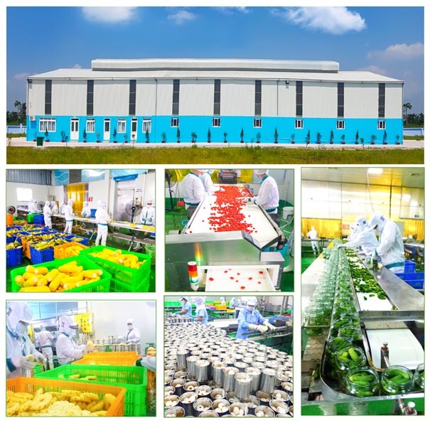 Hải Dương nghiệm thu đề án khuyến công Hải Dương nghiệm thu đề án khuyến công