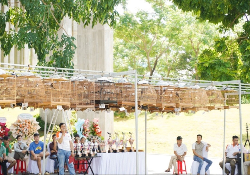 Đặc biệt nhiều hoạt động như hội thi chim, chọi gà thu hút được nhiều du khách , người dân đến tham gia và cổ vũ