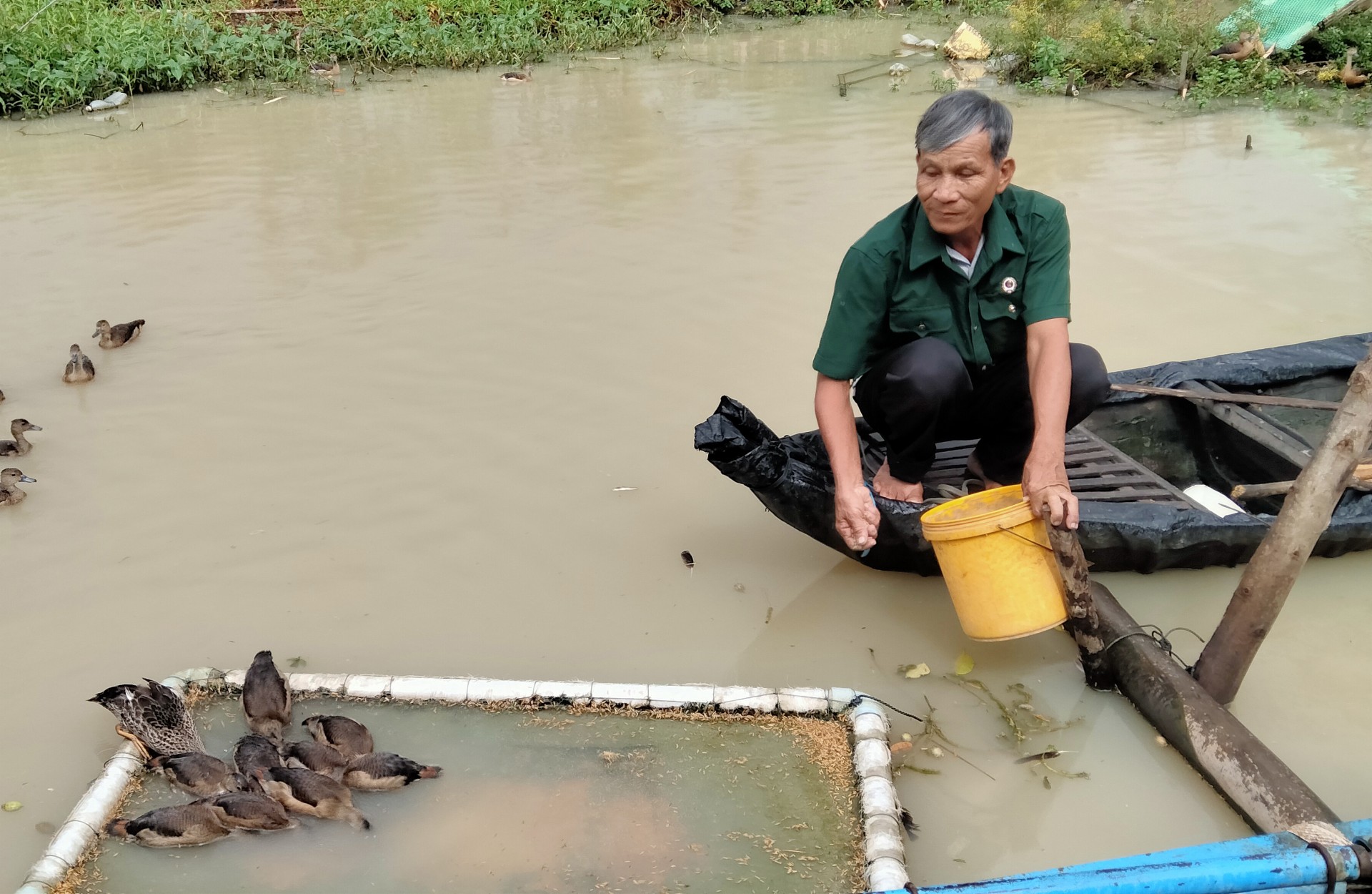 Ông Lê Thanh Tùng có thu nhập hàng trăm triệu đồng/năm nhờ nuôi le le
