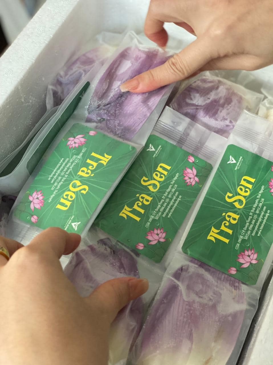 Trà sen Vân Dũng  tự hào thương hiệu chè Thái Nguyên Trà sen Vân Dũng  tự hào thương hiệu chè Thái Nguyên