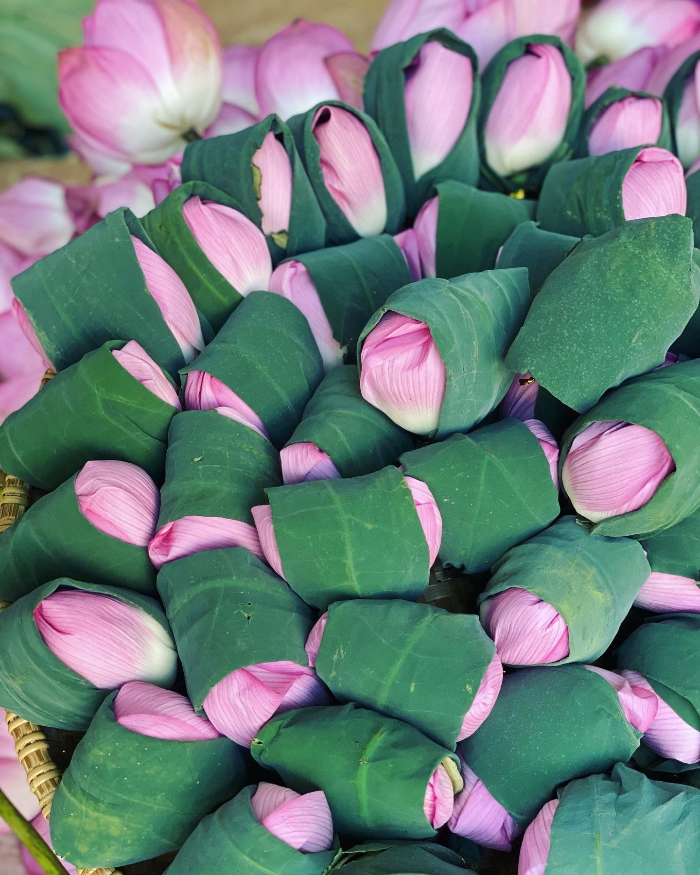 Trà sen Vân Dũng  tự hào thương hiệu chè Thái Nguyên Trà sen Vân Dũng  tự hào thương hiệu chè Thái Nguyên