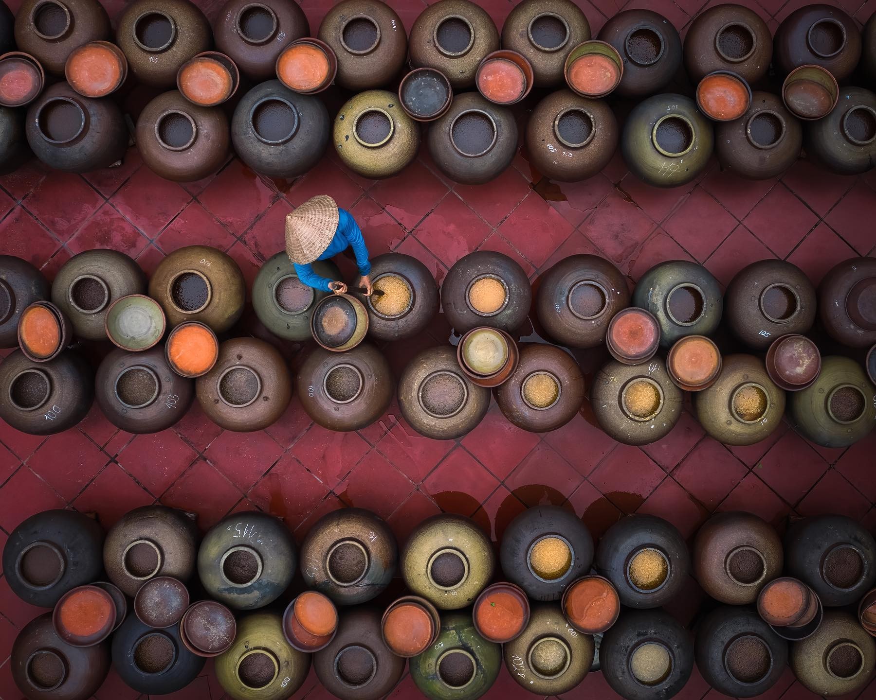 Mộc mạc nghề làm tương bần ở Hưng Yên Mộc mạc nghề làm tương bần ở Hưng Yên