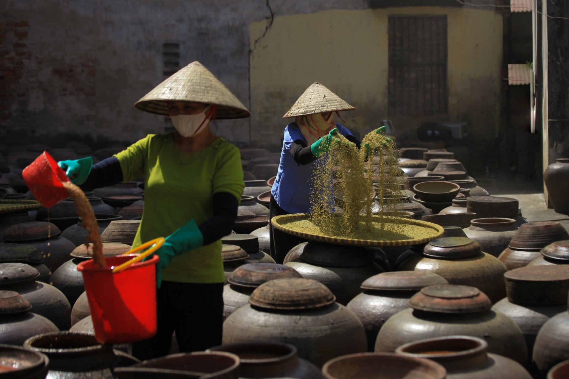 Mộc mạc nghề làm tương bần ở Hưng Yên Mộc mạc nghề làm tương bần ở Hưng Yên