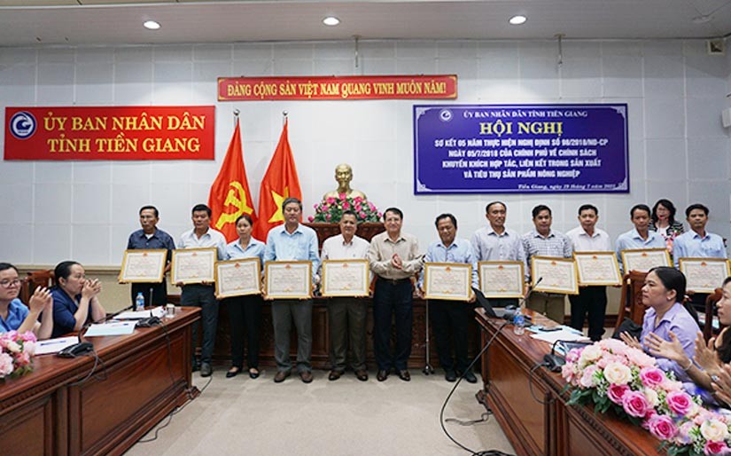 Tiền Giang: Nhìn lại 05 năm thực hiện hợp tác, liên kết trong sản xuất và tiêu thụ sản phẩm nông nghiệp