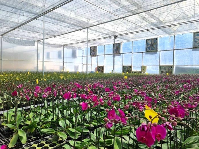 Phát triển mô hình Làng - Nghề du lịch gắn với xây dựng hình ảnh đất nước con người Việt Nam