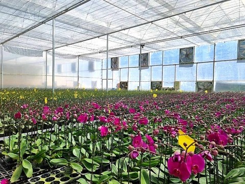 Phát triển mô hình Làng - Nghề du lịch gắn với xây dựng hình ảnh đất nước con người Việt Nam