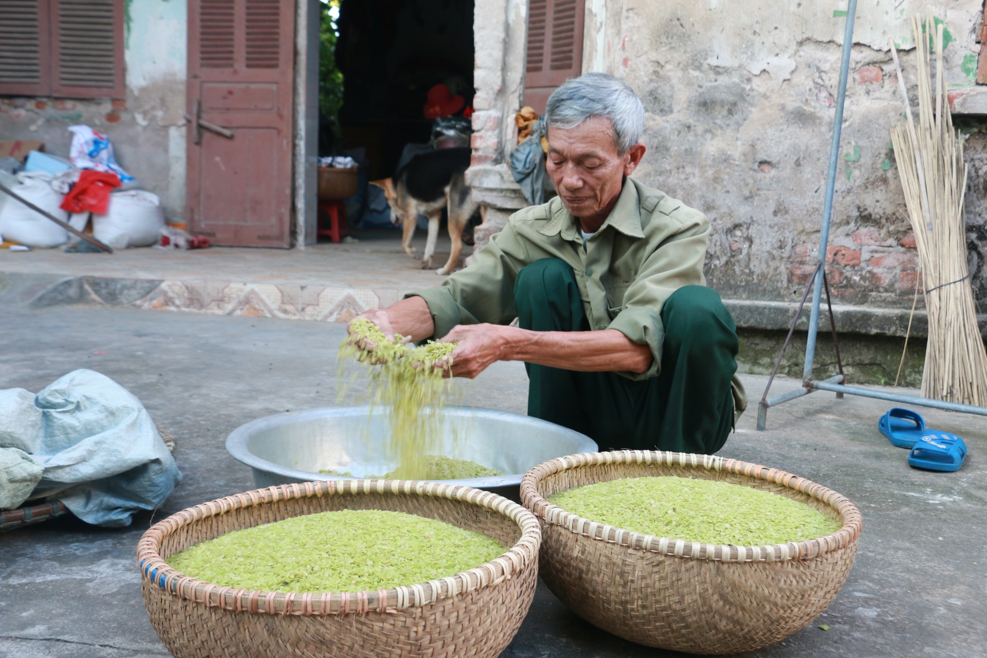 Cốm làng Thạc nồng nàn hương vị của mùa thu Cốm làng Thạc nồng nàn hương vị của mùa thu