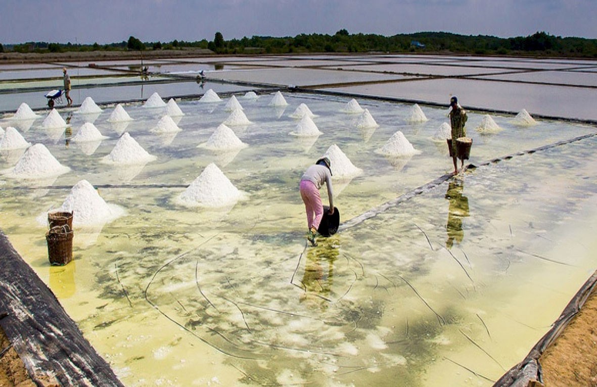 Đề xuất công nhận làng nghề, làng nghề truyền thống cho Làng muối Lý Nhơn Đề xuất công nhận làng nghề, làng nghề truyền thống cho Làng muối Lý Nhơn