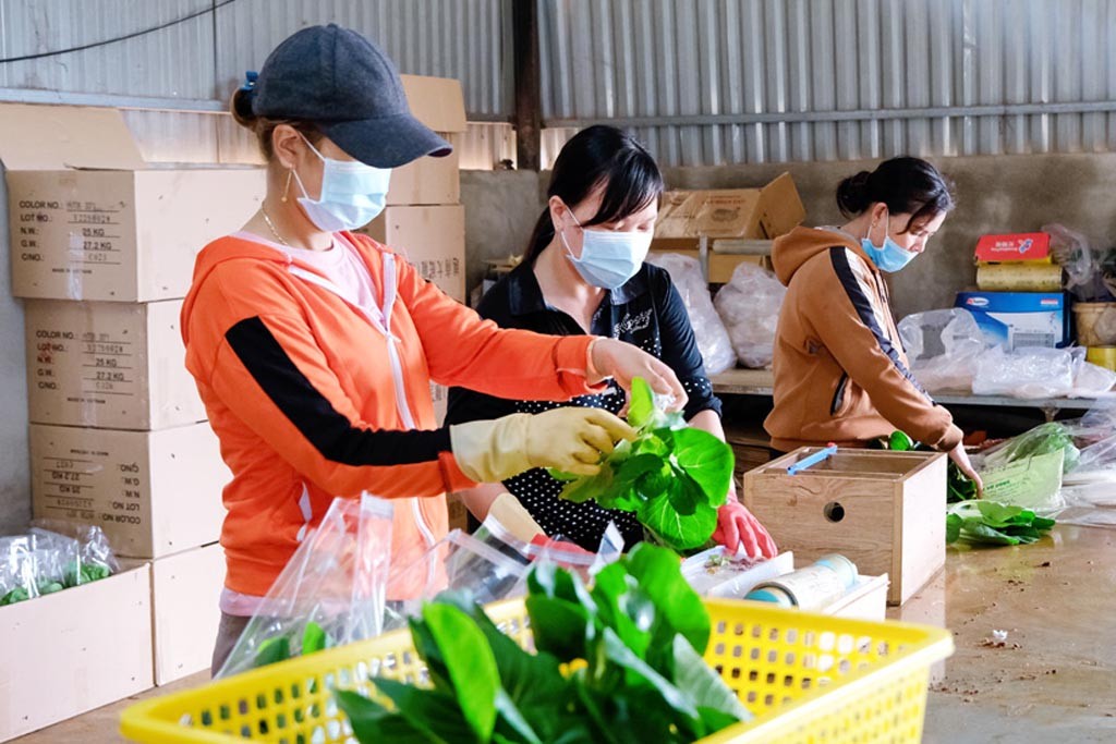 Đơn Dương (Lâm Đồng): sử dụng đúng mục đích nguồn vốn khuyến công
