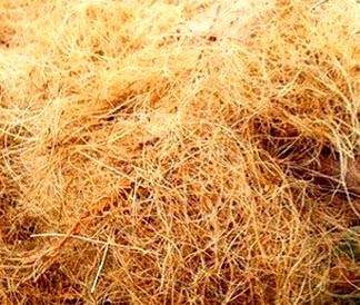 Nguồn vốn khuyến công hỗ trợ ứng dụng máy móc thiết bị tiên tiến trong sản xuất xơ dừa
