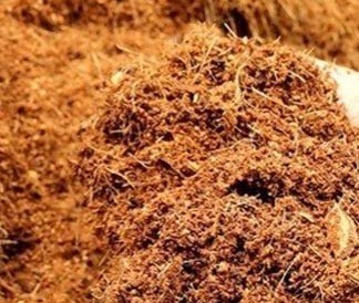 Mùn dừa Mùn dừa