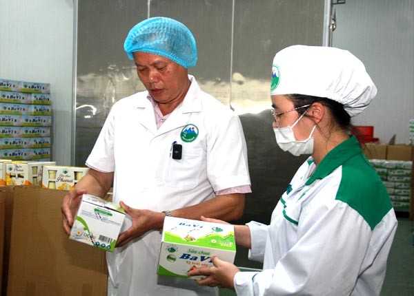 Ba Vì: Xây dựng nông thôn mới từ những mô hình kinh tế điểm