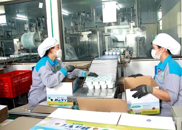 Nhờ ngày càng được tiếp cận với kỹ thuật chăn nuôi bò sữa tiên tiến, các DN luôn cùng đồng hành hỗ trợ bà con chăn nuôi về quy trình, kỹ thuật tạo ra sản phẩm sữa đầy đủ dưỡng chất.