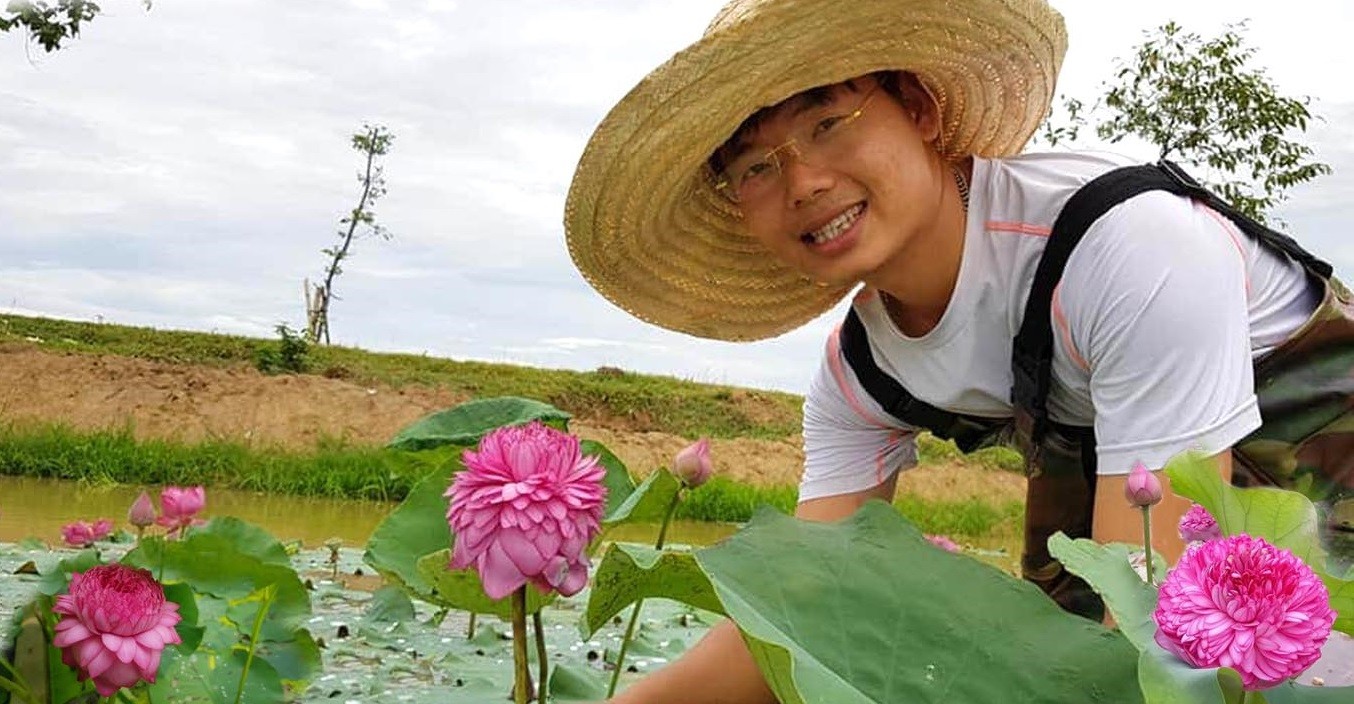 Hiện thực giấc mơ sen ở làng Sen Hiện thực giấc mơ sen ở làng Sen