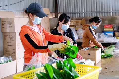 Đơn Dương (Lâm Đồng): sử dụng đúng mục đích nguồn vốn khuyến công