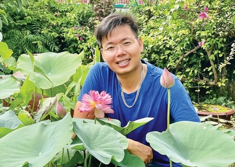 Hiện thực giấc mơ sen ở làng Sen