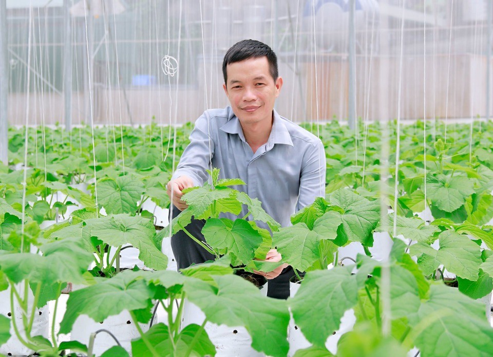 Hà Nội: 200 hộ nông dân, Hợp tác xã tham gia diễn đàn “Nhịp cầu nhà nông” Hà Nội: 200 hộ nông dân, Hợp tác xã tham gia diễn đàn “Nhịp cầu nhà nông”