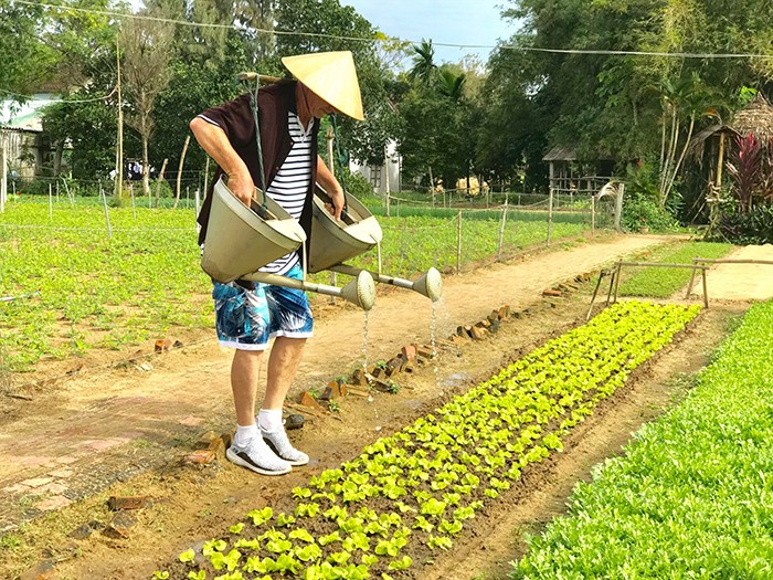 Cơ hội khởi nghiệp từ nông nghiệp sinh thái