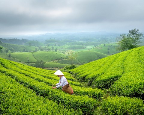 Nông nghiệp xanh, bền vững gắn với mô hình du lịch nông thôn