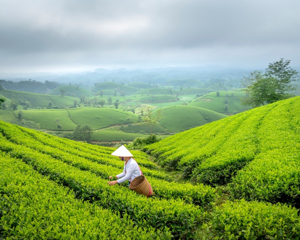 Nông nghiệp xanh, bền vững gắn với mô hình du lịch nông thôn