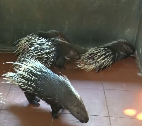 Ninh Bình: Phát triển kinh tế từ mô hình Tổ hội nghề nghiệp