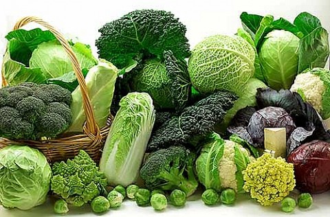 Một số thực phẩm tốt cho sức khoẻ giúp tăng tuổi thọ