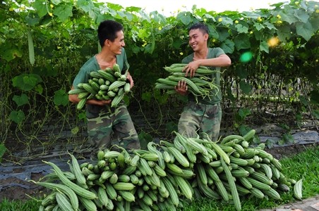 Mô hình quân đội tham gia xây dựng kinh tế kết hợp với quốc phòng đem lại những giá trị thiết thực