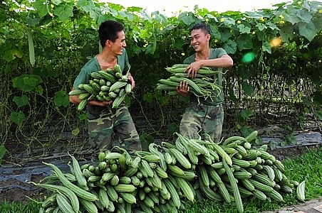 mo hinh quan doi tham gia xay dung kinh te ket hop voi quoc phong dem lai nhung gia tri thiet thuc