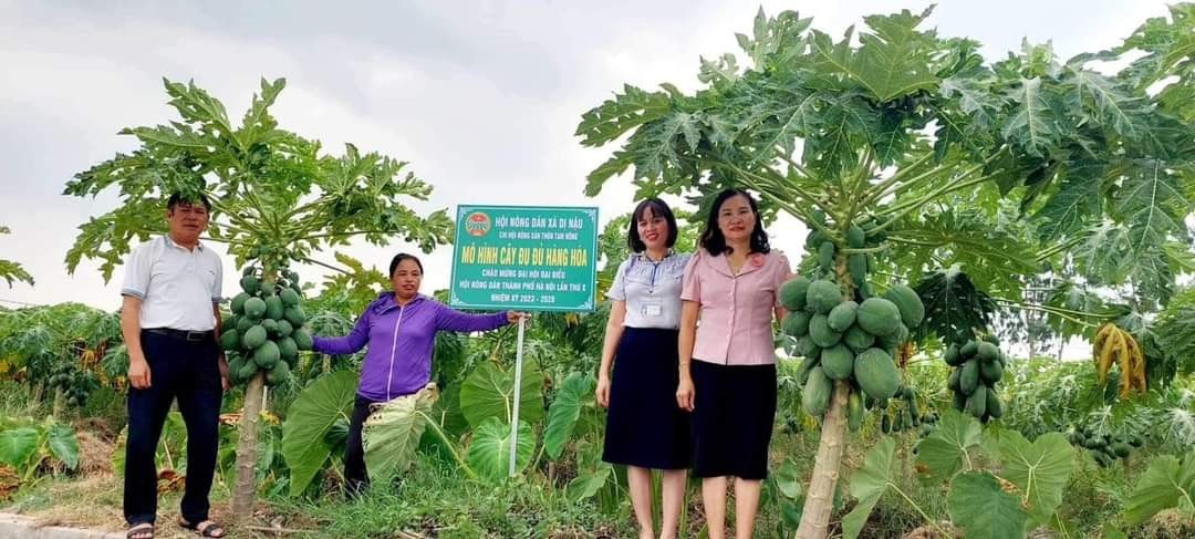 Thạch Thất (Hà Nội):  Nhiều khởi sắc trong xây dựng nông thôn mới nâng cao, kiểu mẫu