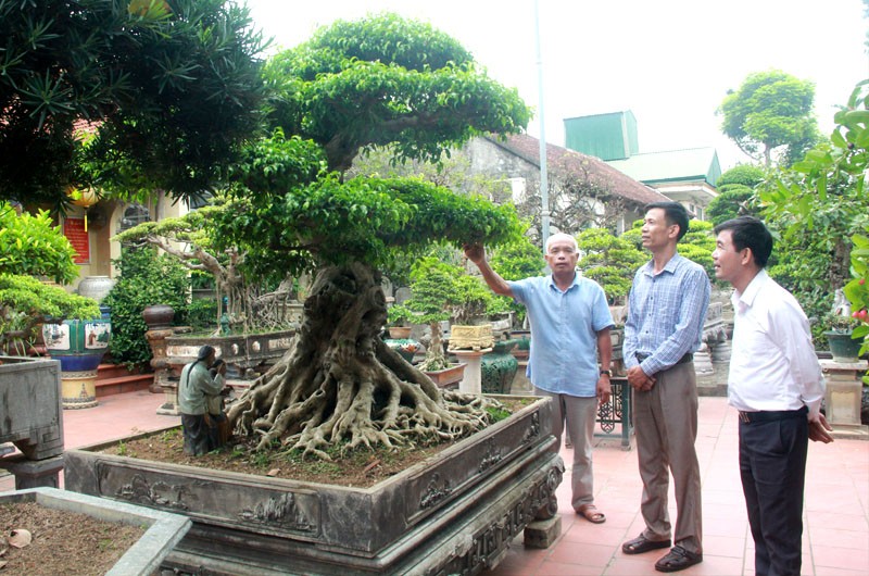 Thạch Thất (Hà Nội):  Nhiều khởi sắc trong xây dựng nông thôn mới nâng cao, kiểu mẫu