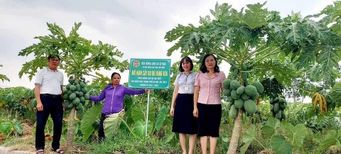 thach that ha noi nhieu khoi sac trong xay dung nong thon moi nang cao kieu mau