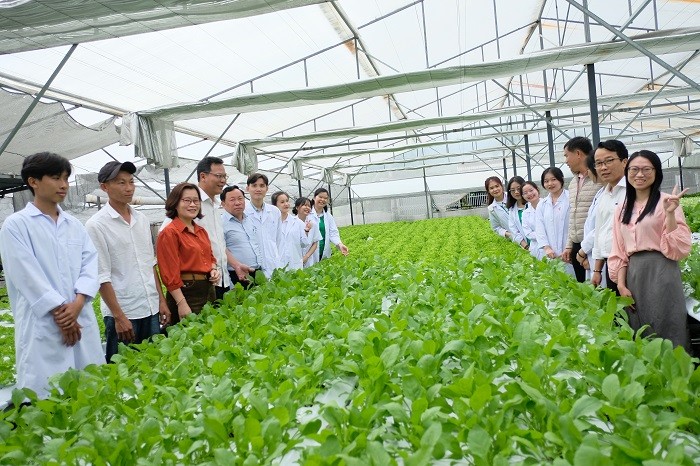 Hà Nội tạo hướng đi mới từ đầu tư vào nông nghiệp công nghệ cao